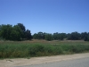 More views by the Santa Rosa Plateau