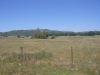 Santa Rosa Plateau Ecological Reserve