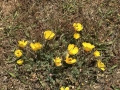 LCDay1_00047_IMG_1708