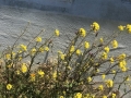 LCDay1_00048_IMG_1710